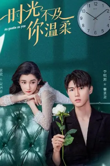 《时光不及你温柔》封面