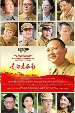 《走向大西南》封面