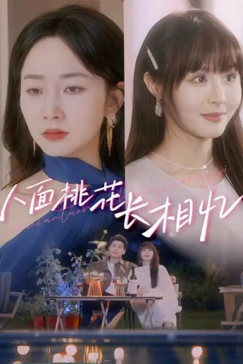 《人面桃花长相忆》封面