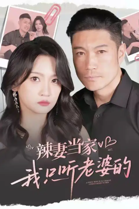 《辣妻当家,我只听老婆的》封面