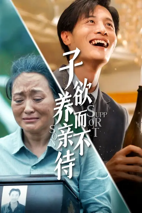 《子欲养而亲不待》封面