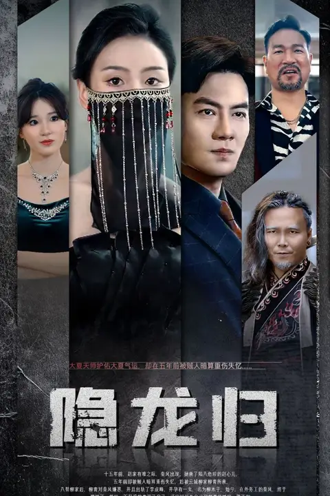 《隐龙归》封面