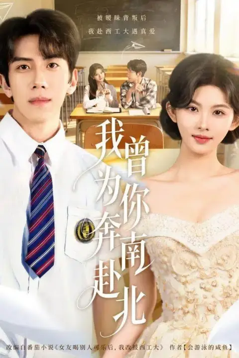 《我曾为你奔南赴北》封面