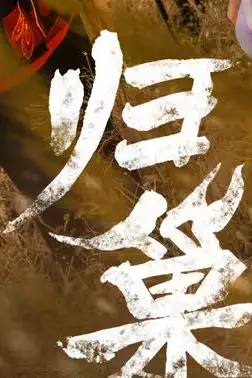 《归巢》封面