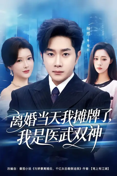 《离婚当天我摊牌了，我是医武双神》封面