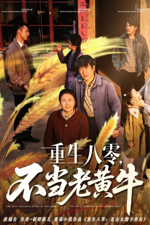 《重生八零,不当老黄牛》封面