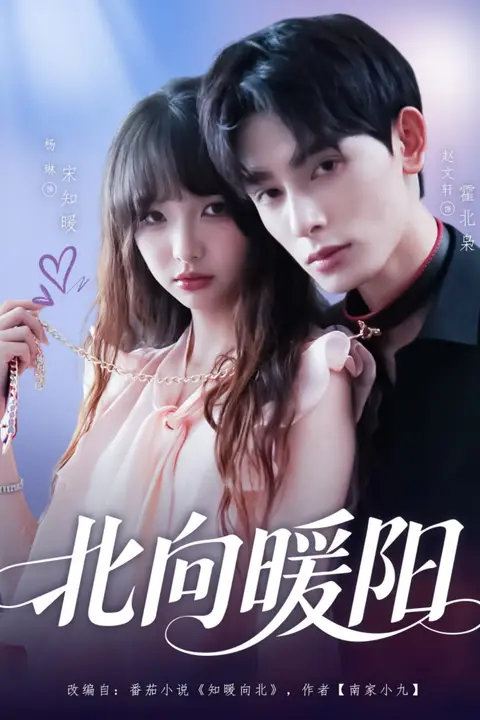 《北向暖阳》封面