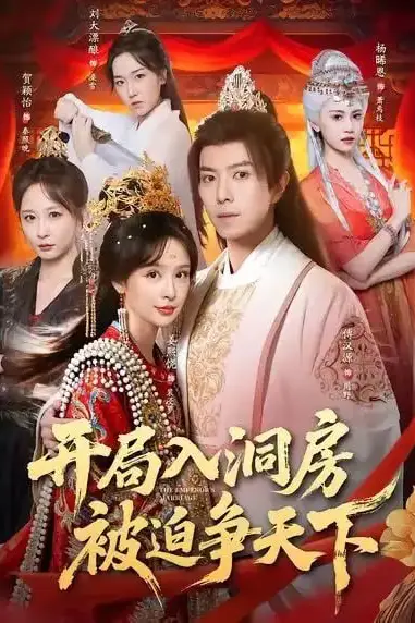 《开局入洞房,被迫争天下》封面
