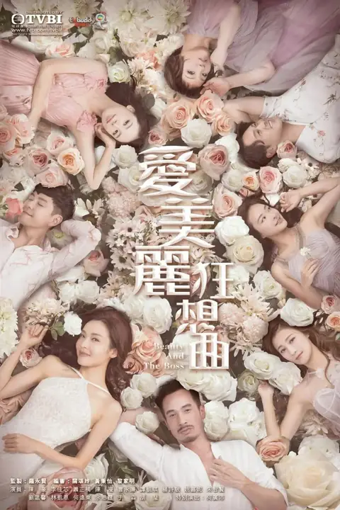 《爱美丽狂想曲》封面