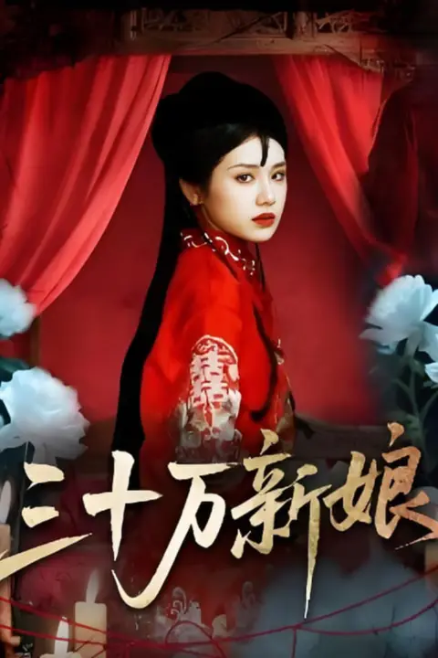 《三十万新娘》封面