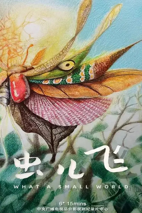 《虫儿飞》封面