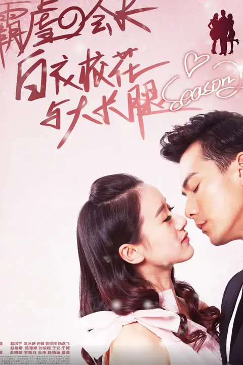 《白衣校花与大长腿2》封面