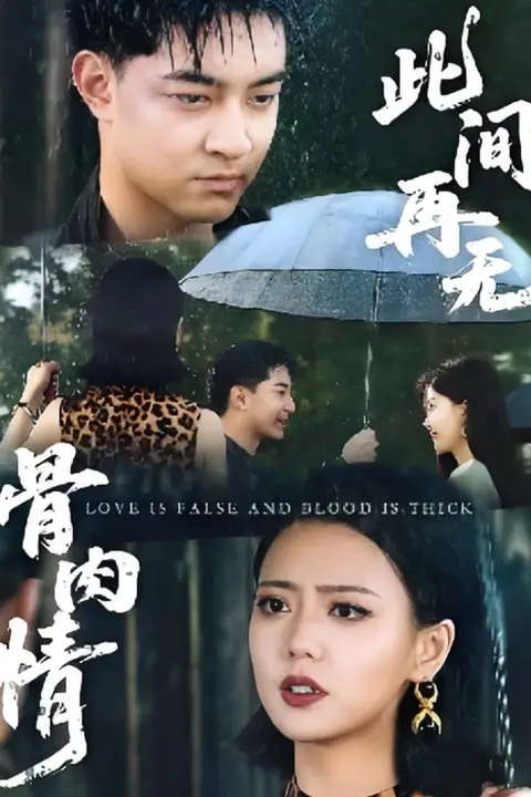 《此间再无骨肉情》封面