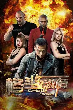 《格斗与激情》封面