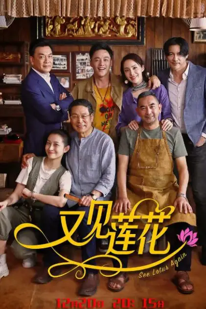 《又见莲花》封面