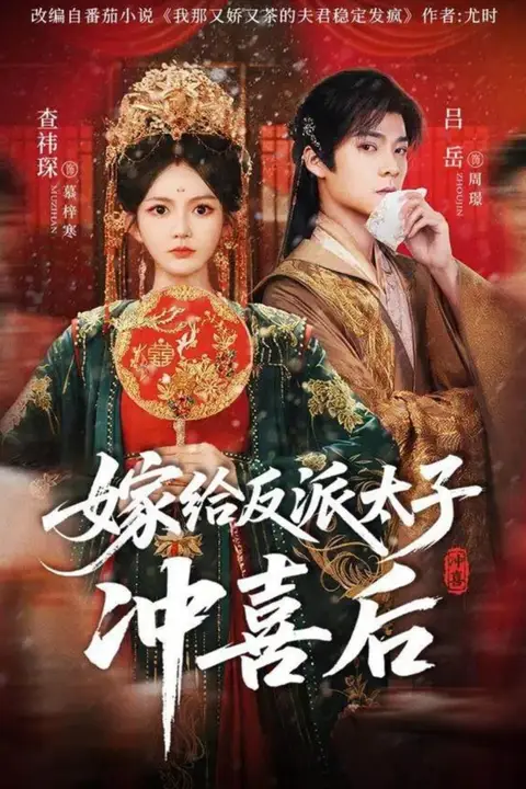 《嫁给反派太子冲喜后》封面