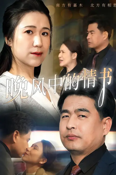 《晚风中的情书》封面
