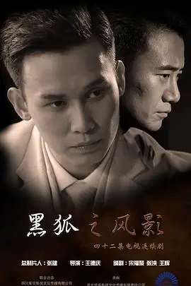 《黑狐之风影》封面