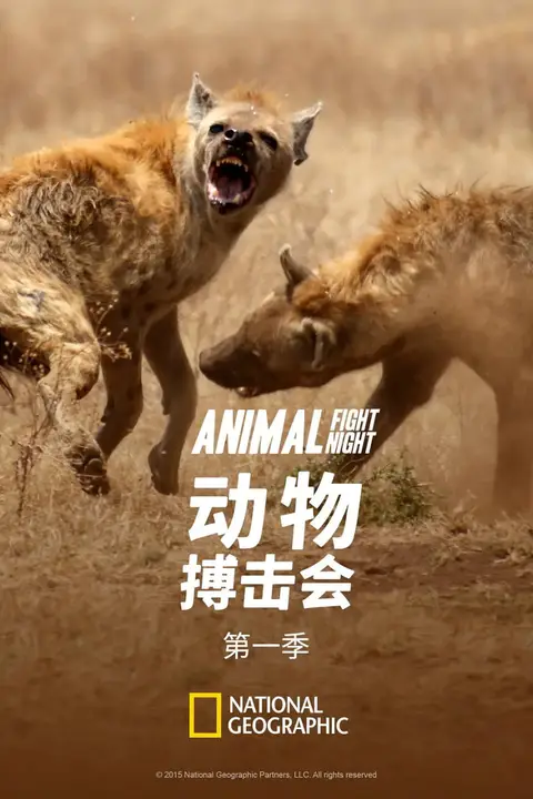 《动物搏击会 第一季》封面