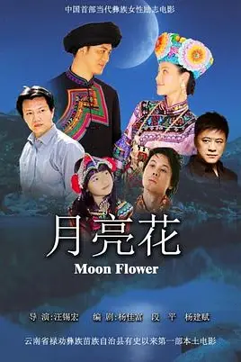 《月亮花》封面