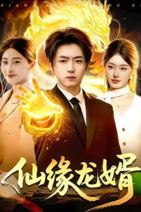 《仙缘龙婿》封面