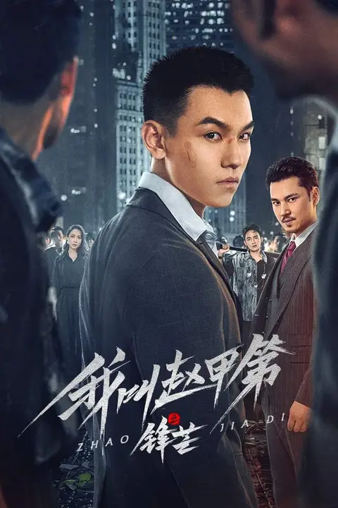 《我叫赵甲第之锋芒》封面