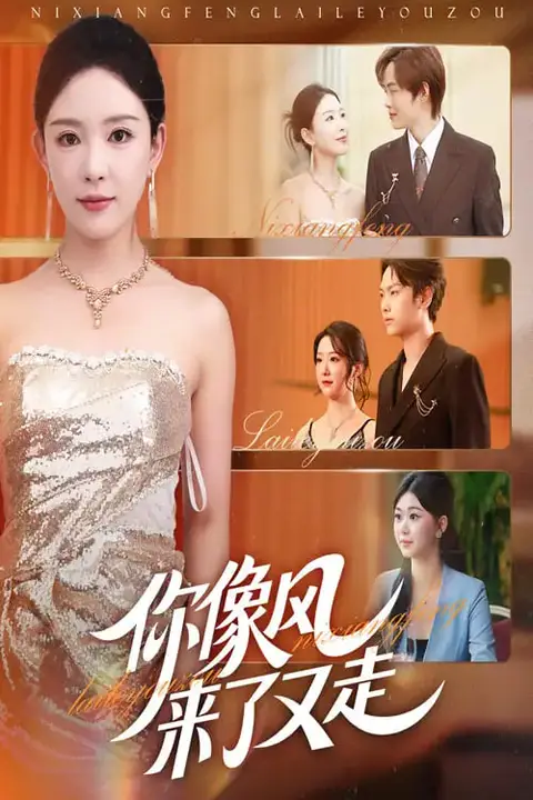 《你像风来了又走》封面