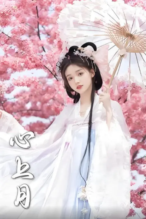 《心上月》封面