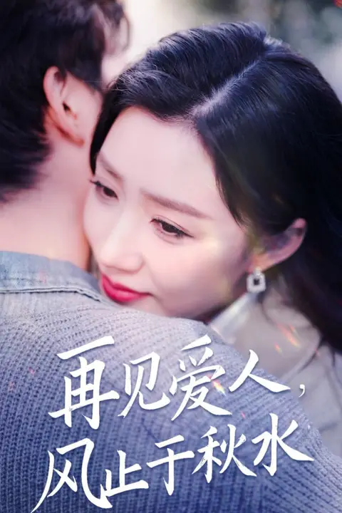 《再见爱人风止于秋水》封面