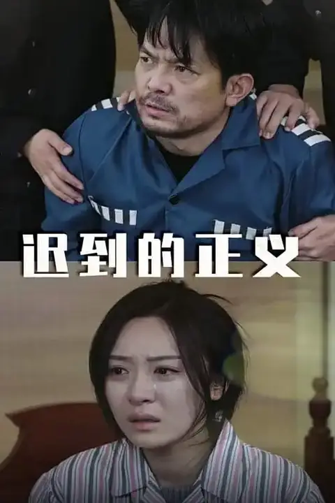 《迟到的正义》封面
