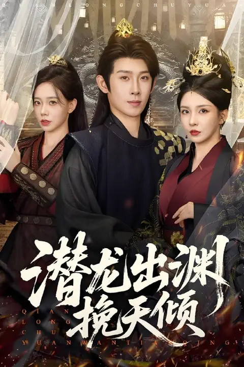 《潜龙出渊挽天倾》封面