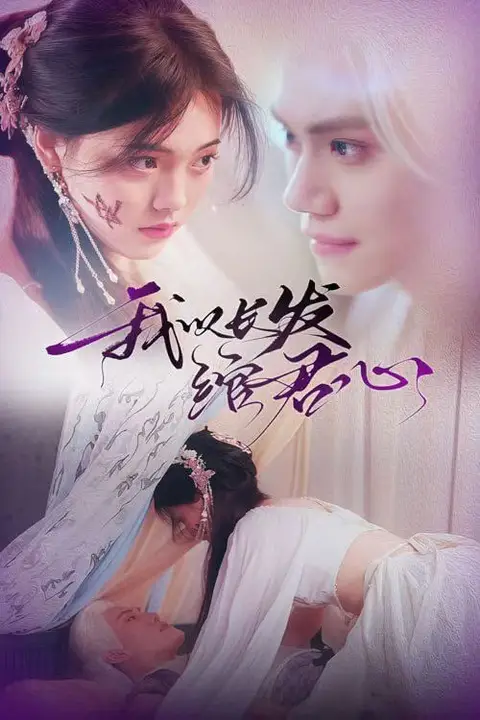 《我以长发绾君心（将军请垂怜）》封面