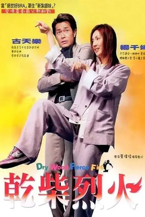 《干柴烈火》封面