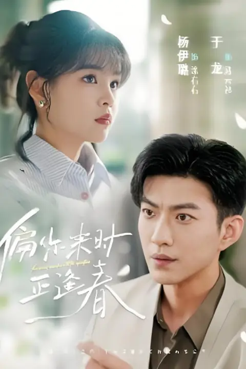 《偏你来时正逢春》封面