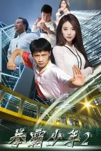 《拳霸少年2》封面