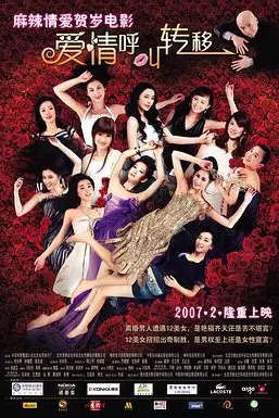 《爱情呼叫转移》封面