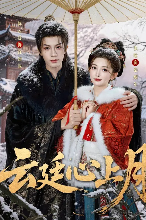 《云廷心上月》封面