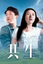 《共生》封面