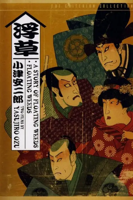 《浮草》封面