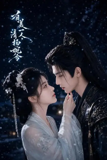 《有美一人,清扬婉兮》封面