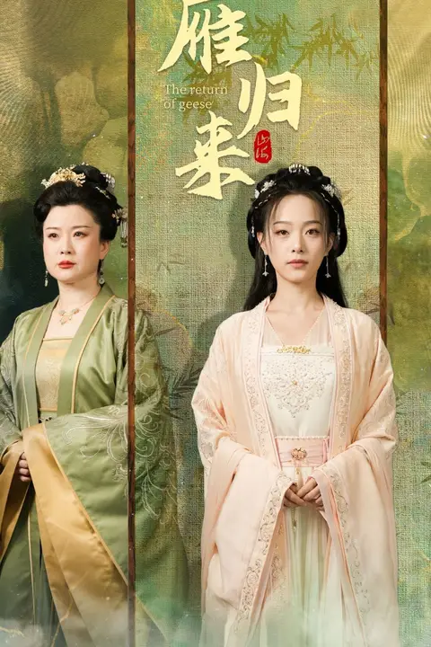 《雁归来》封面