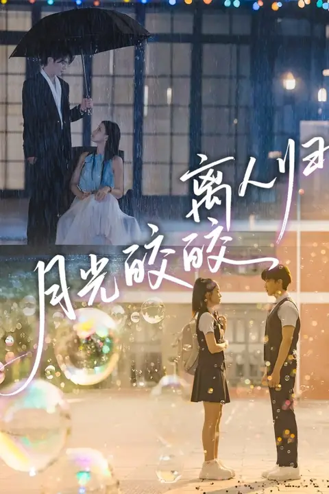 《月光皎皎离人归》封面