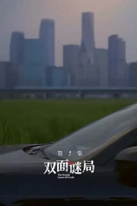 《双面婚局》封面