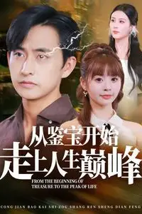 从鉴宝开始走上人生巅峰 第41-60集 高清封面图