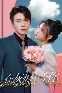 《在灰烬中等你》封面