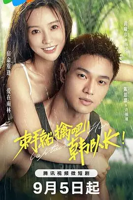 《束手就擒吧!韩队长》封面
