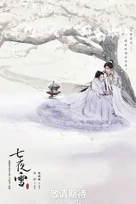 《七夜雪》封面