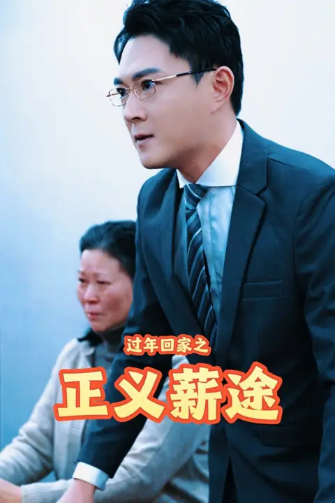 《过年回家之正义薪途》封面