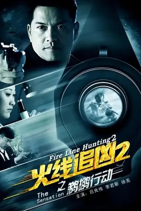 《火线追凶2之鹈鹕行动》封面