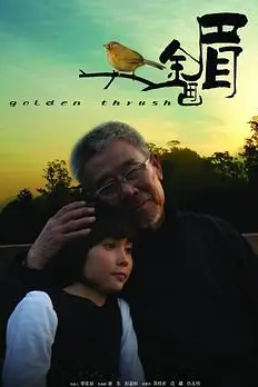 《金画眉》封面